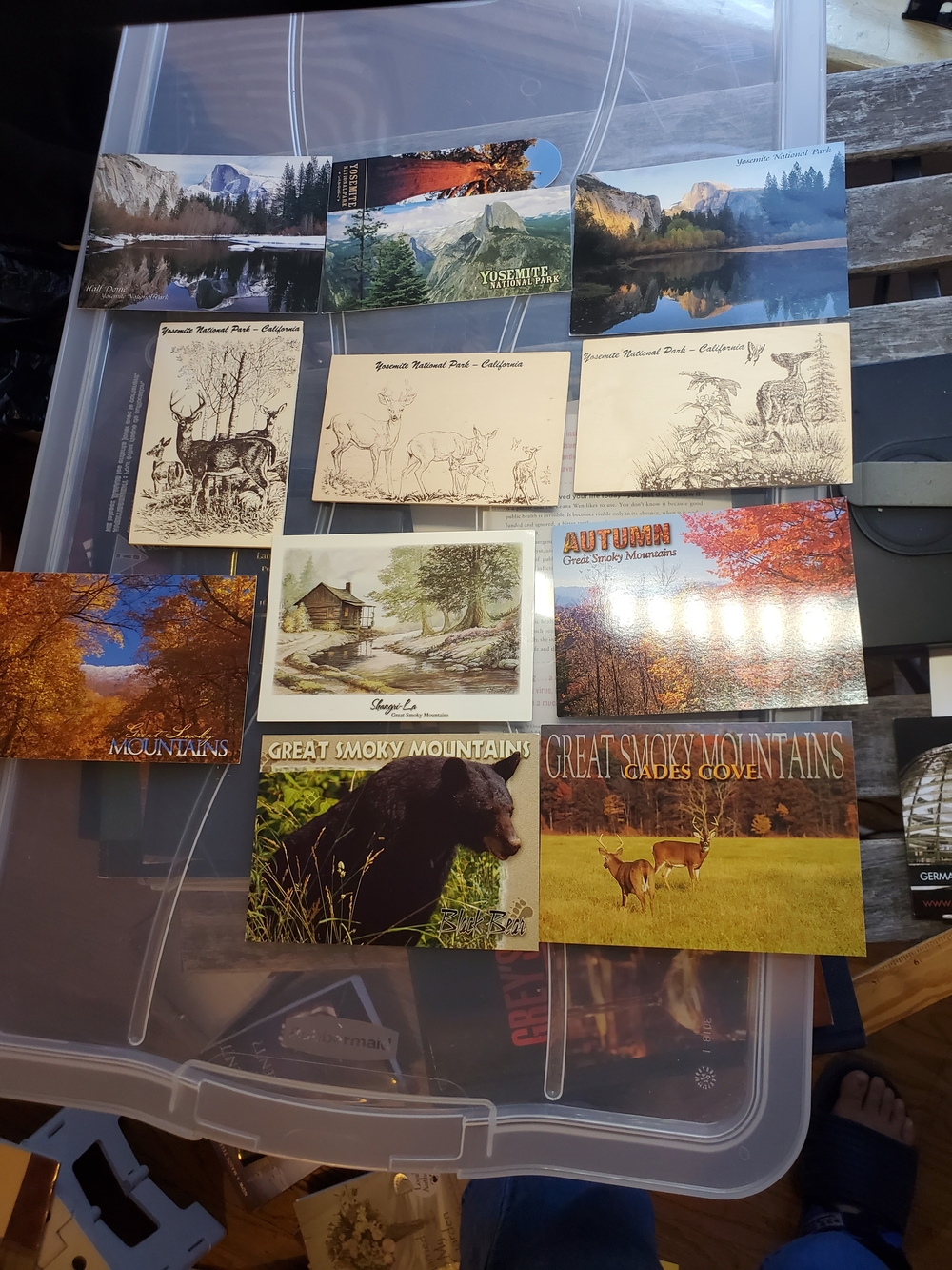 Lot of 11 National Park Postcards - Yosemite & Great Smoky Mountains, Wood Paper
